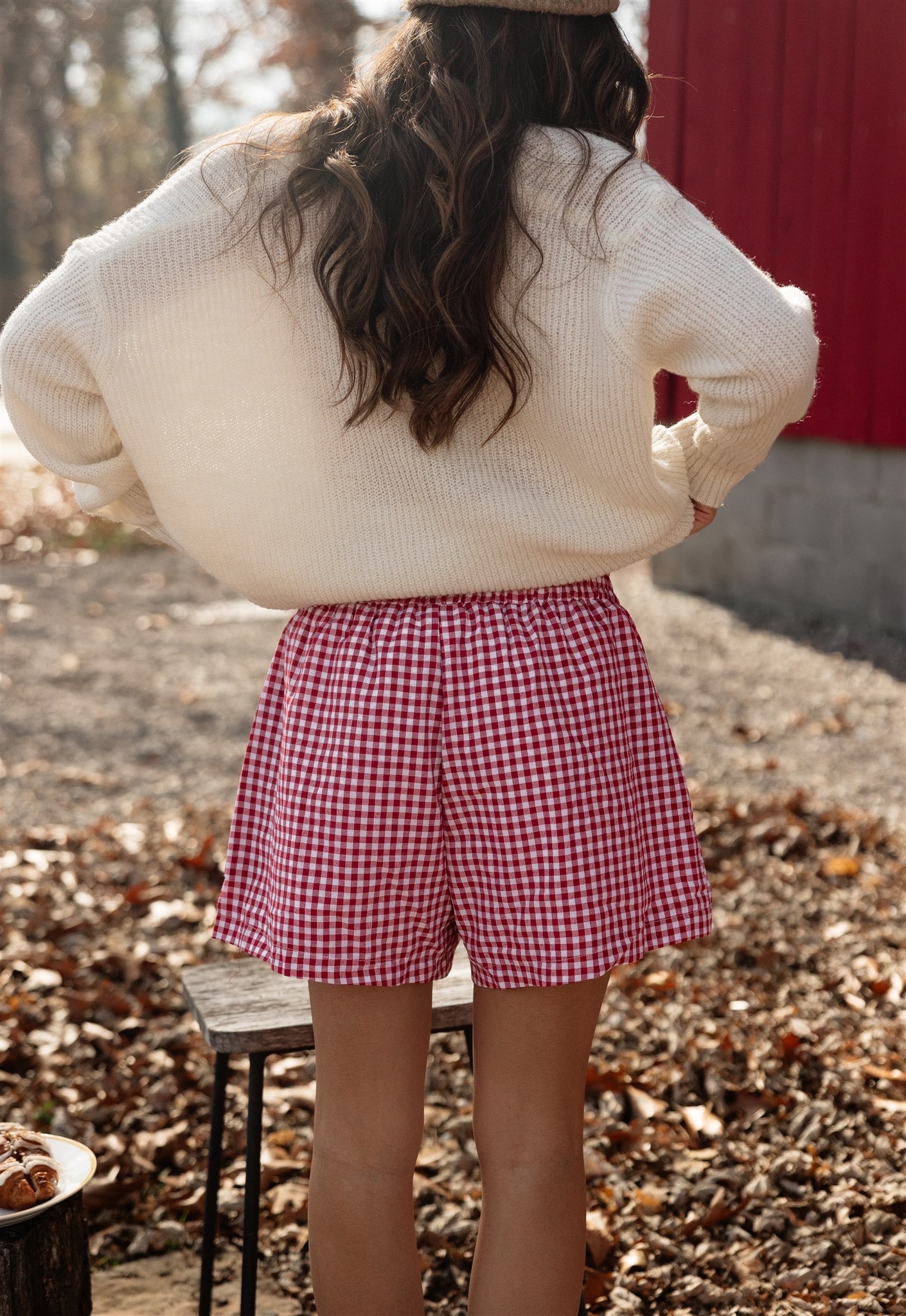 Holiday Morning Shorts