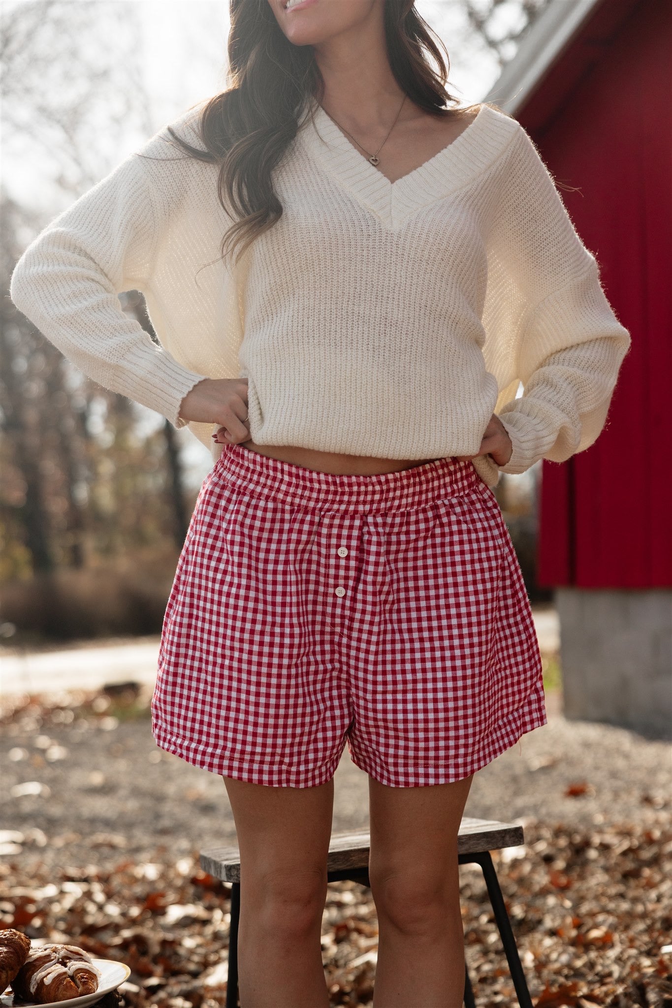 Holiday Morning Shorts