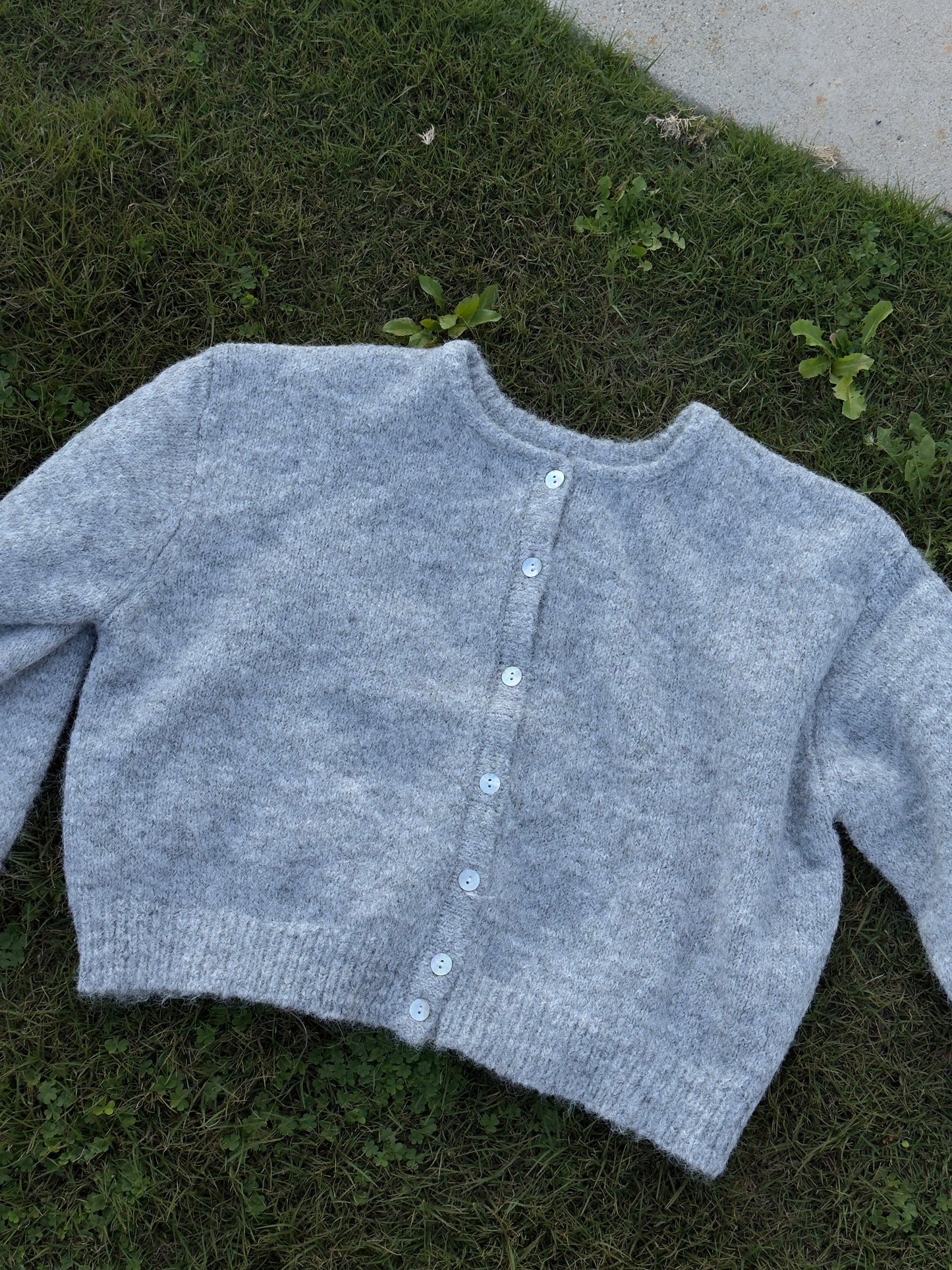 Lucas Cardigan